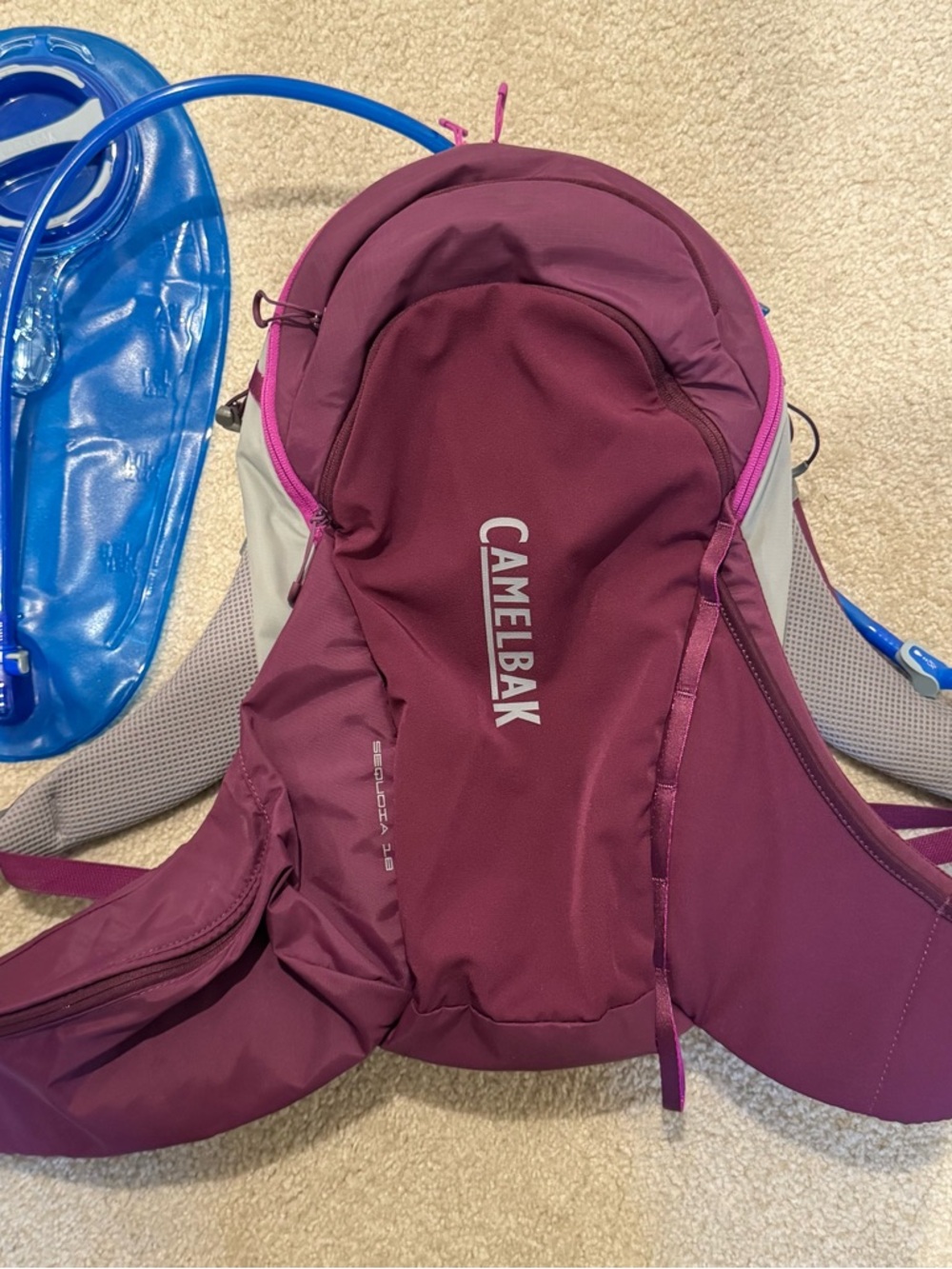 CamelBak Hydration Pack with Reservoir